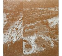 Chantler John - Which Way to Leave [VINYL]