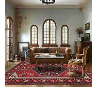 Chanxiang666 Designer Carpet Modern rug 80x250cm Geometric ethnic style red Bordered, Soft,Machine washable 80x250cm