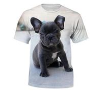 CHANYI Mens 3D Print t-shirts Cute French Bulldog T-Shirts Animal 3D Printed Fashion Men Women Short Sleeve T Shirt Oversized Harajuku Kids Tees Tops Clothing