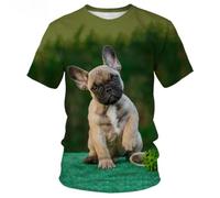 CHANYI Mens 3D Print t-shirts Cute French Bulldog T-Shirts Animal 3D Printed Fashion Men Women Short Sleeve T Shirt Oversized Harajuku Kids Tees Tops Clothing