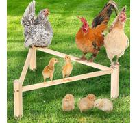 CHAOHAOKE Pine Wood Chicken Perch & Coop Toy, Triangular Gym, Sausage Stick Roost for Chickens, Parrots & Birds, Ideal for Coops & Incubators