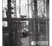 CHAOS AND CREATION IN THE BACKYARD