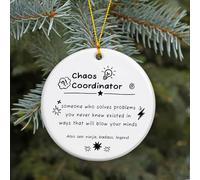 Chaos Coordinator Ornament - Funny Coworker Gifts for Women Men, Boss Lady Appreciation Christmas Ornament 2025, Small Office Gift, Teacher Friend Holiday Keepsake. (LE26)