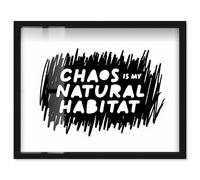 Chaos Core Shadowbox Print Fun Quotes by Art Remedy, Black Frame, 20 x 16