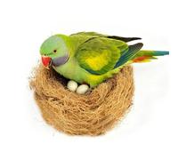 CHAOTEMAI Brown Coir Fibre, Material Natural Coconut Fibre, Breathable, Moisture-Repellent, Warm Nesting Material for Birds, Bird Decoration for and as a Hiding Place (100G)