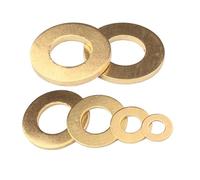 CHAOUYYZ 2/50/100Pcs Round Brass Washer, Bronze Flat Sheet Metal Cushion Paste Seals Shim Gasket M2 M2.5 M3/M4 M5 M6 M8 M10 M12 M14 M16/ Color/M2.5 * 6 * 0.4Mm (100Pcs