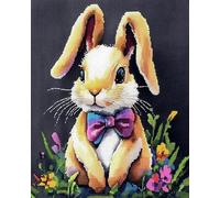 Chaozhirui Cross Stitch Kit with Stamps for Adults Animal, Rabbit Needlepoint Starter Kit, 40x50cm/11CT