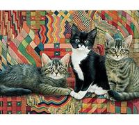 Chaozhirui Easy Pattern Cross Stitch Kit for Adult Beginners, 11CT, Simple and Advanced Crafts, Home Wall Decor, Flower Animal Cat Kitten Vibrant Thread Colors- 40x50cm (Flowers)