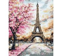 Chaozhirui Stamped Cross Stitch Kits for Beginners, Eiffel Tower Cherry Blossoms, Full Range of Embroidery Kits for Adults, 11CT Embroidery Pattern Needlepoint, Print 40x50 cm