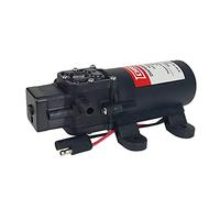 Chapin International 6-9206 12V 1.0 GPM Standard Diaphragm Pump, Black