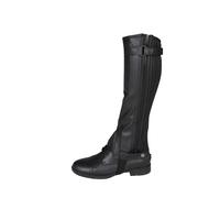 Chaps Red Horse Rexion