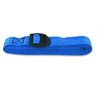 Chapuis GAB04 (Pack of 2 Straps with Plastic Buckle - Maximum Voltage 20 kg Width 25 mm Length 5 m - Blue, Set of 2, 2 Pieces