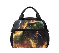 chaqlin Dinosaur Lunch Bag Insulated Cooler Bag Boys Kids Lunch Box with Compartments, Easy-Clean Lunch Bags Storage for Camping Picnic