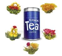 Charbrew Flowering Tea Different Blooming Flowers Individually Sealed Green and Jasmine Balls (5 Blooms)