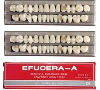 Chargantyang Dental Synthetic Resin Tooth Denture False Teeth for Halloween Horror Teeth 23 A3(56 Pcs/2Set)