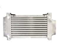 Charge Air Coole AVA COOLING BWA4262 for MINI MINI (R50, R53) 1.6 2002-2006