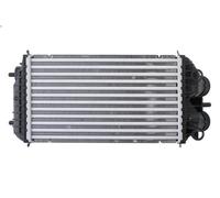 Charge Air Coole DENSO DIT21001 for DS 3 / DS 3 CROSSBACK 1.5 2021-2022