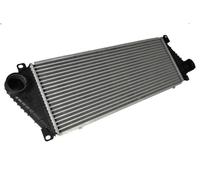 Charge Air Coole THERMOTEC DAM001TT for SPRINTER 4-t Van (B904) 2.1 2000-2006