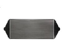 Charge Air Coole THERMOTEC DAP001TT for PEUGEOT 806 (221) 2 1999-2002