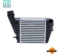 Charge Air Coole NRF 30197 for RENAULT WIND (E4M_) 1.2 2010-2011