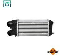 NRF 30543 Intercooler