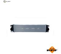 NRF 30877 Intercooler