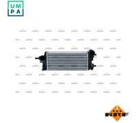 NRF 30926 Intercooler