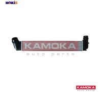 CHARGE AIR COOLER 7750047 FOR RENAULT SCÉNIC/III/VAN/GRAND FLUENCE MEGANE/CC