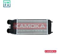 CHARGE AIR COOLER 7750068 FOR PEUGEOT 1007 207/SW/Van/Hatchback/CC CITROËN