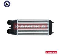CHARGE AIR COOLER 7750068 FOR PEUGEOT 1007 207/SW/Van/Hatchback/CC CITROËN