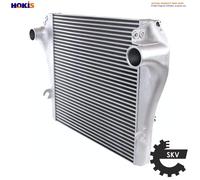 ESEN SKV 98SKV143 Intercooler