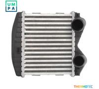 THERMOTEC DAM012TT Intercooler