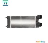 THERMOTEC DAP002TT Intercooler