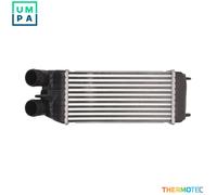 THERMOTEC DAP003TT Intercooler