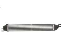 MAGNETI MARELLI 351319204290 Intercooler