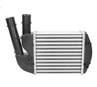 Charge Air Cooler NRF 30167A for FIAT PANDA (169_) 1.3 2006-2013