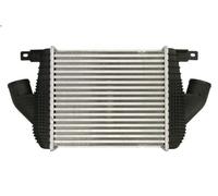 Charge Air Cooler NRF 309133 for NISSAN CABSTAR (F24M, F24W) 3 2006-2013