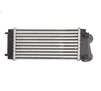 THERMOTEC DAC004TT Intercooler