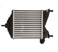 Charge Air Cooler THERMOTEC DAF014TT for FIAT IDEA (350_) 1.3 2008-2012