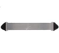 THERMOTEC DAM007TT Intercooler