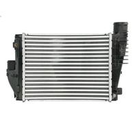 Charge Air Cooler THERMOTEC DAX042TT For CITROËN, PEUGEOT, TOYOTA, OPEL