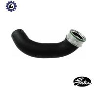 GATES 09-0261 Charger intake hose