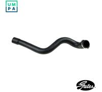 GATES 09-0519 Charger Air Hose for RENAULT