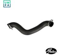 GATES 09-1187 Charger intake hose
