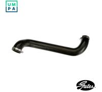 GATES 09-1333 Charger intake hose