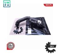 CHARGE AIR HOSE 43SKV317 FOR PEUGEOT PARTNER/Box/Body/MPV/TEPEE/FURGON/Van 1.6L