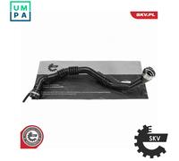 CHARGE AIR HOSE 43SKV970 FOR RENAULT CLIO/IV/Van/Hatchback/Grandtour CAPTUR 1.5L