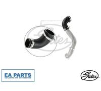 Charge Air Hose for FORD C-MAX ESCAPE FOCUS GRAND C-MAX GATES 09-0947