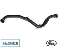 Charge Air Hose for RENAULT ESPACE LAGUNA GATES 09-1492