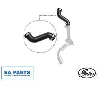 Charge Air Hose for RENAULT KANGOO GATES 09-1314